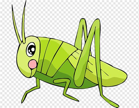 Grasshopper Insect Locust Cartoon, grasshopper, insects, fauna, grass png | PNGWing