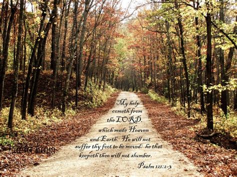 Pin on Fall photos with scripture