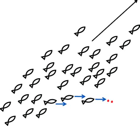 Representation of schooling. | Download Scientific Diagram