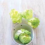 Iceberg lettuce, cucumber, bacon & egg salad - Sydney Markets