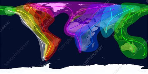 Worldwide bird migration routes - Stock Image - Z800/0066 - Science ...