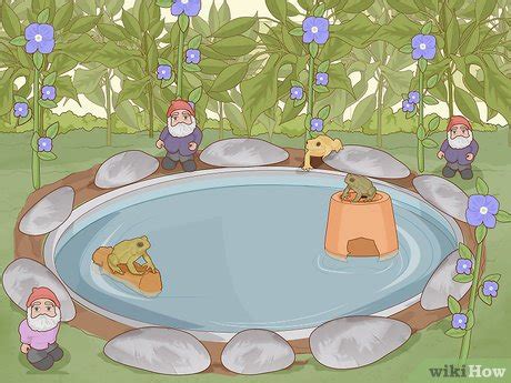 How to Create a Habitat for a Toad: 12 Steps (with Pictures)