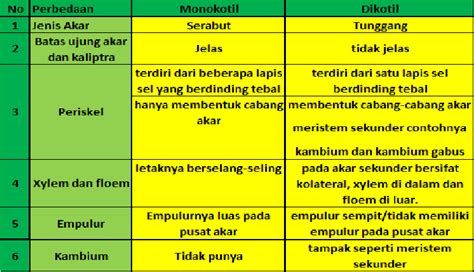 Ananda's Blog: Struktur Akar Tumbuhan Monokotil dan Dikotil