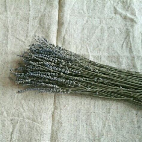 Jual Bunga Lavender Kering di Lapak Canopeecraft | Bukalapak