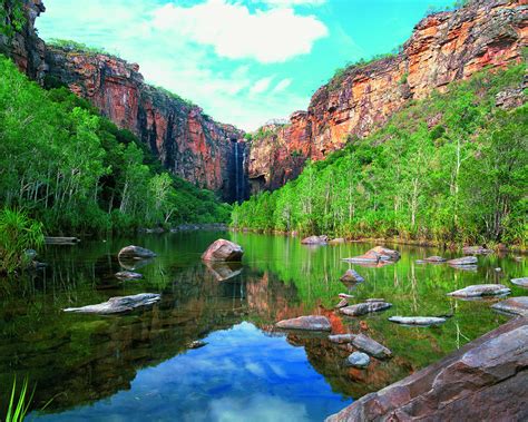 Kakadu National Park : Un parc aux multiples visages