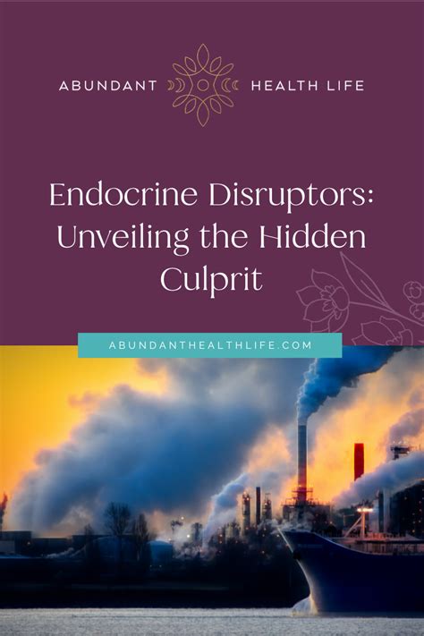 "Endocrine Disruptors: The Hidden Culprit Behind Hormone Imbalance, Infertility, and More ...