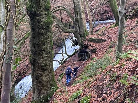 Walk up to Cleddon Falls from Llandogo 8 miles away along Wordsworth ...