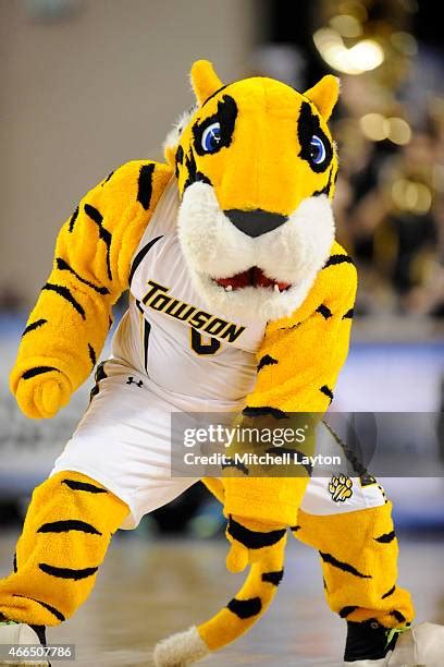 Towson Mascot Photos and Premium High Res Pictures - Getty Images