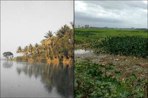 The Haunting Past of Bellandur Lake