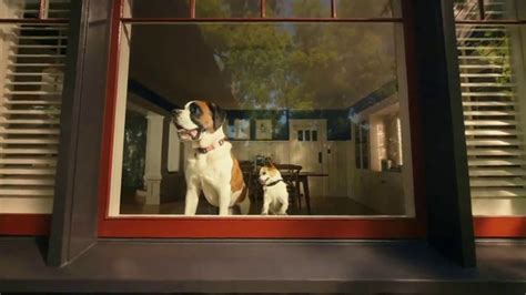 Chewy.com TV Spot, 'Chewy Chatty Pets: Giorgio and Ralph' - iSpot.tv