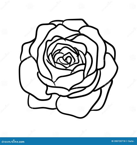 Hand Drawn Line Art Rose Flower Vector Illustration Stock Vector ...