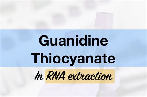 Role of Guanidine Thiocyanate in RNA extraction – Genetic Education