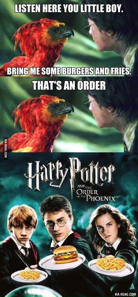 Haha get it? ORDER of the Phoenix? | Harry potter memes, Harry potter ...