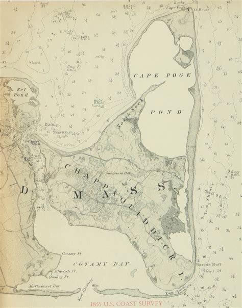 Reproduction Print of Chappaquiddick Island Map | EBTH