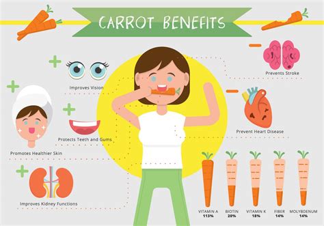 Carrot Benefits Infographic Vector 153469 Vector Art at Vecteezy