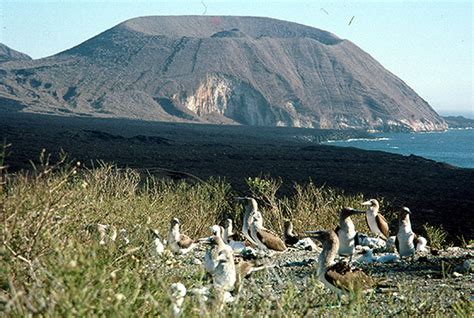 Resolving a misplaced source of volcanism in the Galapagos