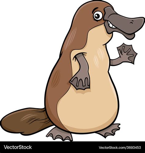 Platypus animal cartoon Royalty Free Vector Image