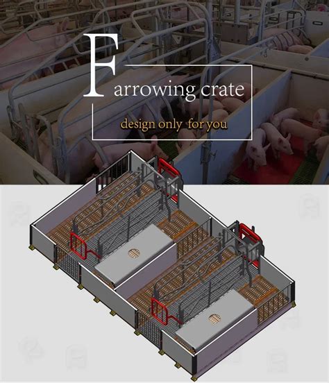 Piggery Project Design Pig Equipment Pig House - Buy Pig Equipment,Pig House Product on Alibaba.com