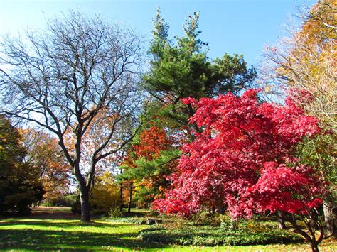 Heritage Gardens — Westcroft Gardens