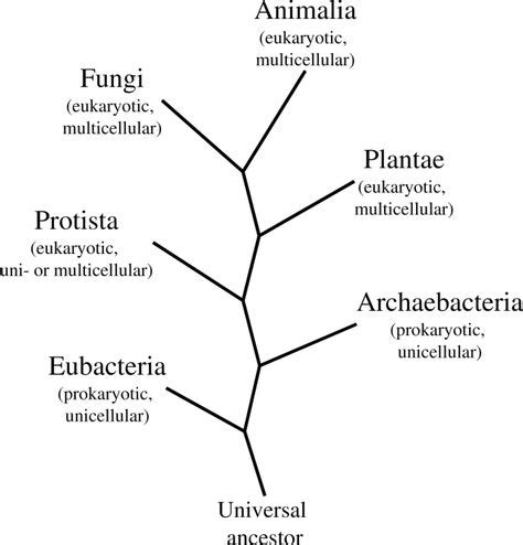 The Six Kingdoms of Life | Biology classroom, Microbiology, Life science