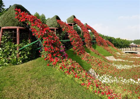 Dubai Miracle Garden 2024-2025 - Rove.me