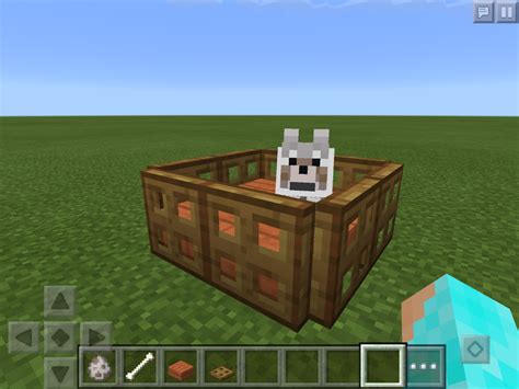 How To Make A Dog Bed In Minecraft?