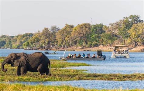 Location of Chobe Marina Lodge - Near Chobe National Park in Botswana