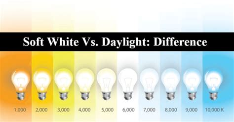 Soft white vs Daylight - Which One is Best For You? [2022]