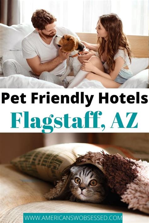 Pet Friendly Hotels in Flagstaff, Arizona | Pet friendly hotels, Dog ...