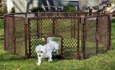 10 Best Portable Dog Fences [2023 Reviews]