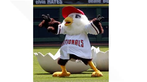 Mascot for Washington Nationals: What is it? | wusa9.com