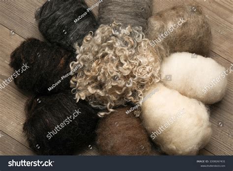 9 Varieties Natural Warm Sheep Wool Stock Photo 2208267431 | Shutterstock