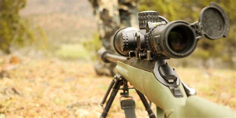 Best 270 Rifles – Complete Round-up Review [2023]