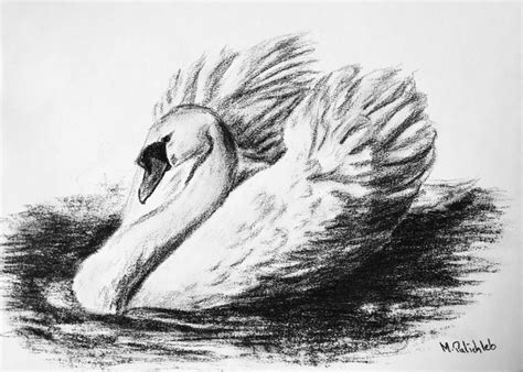 Handmade, incredible charcoal drawing awaiting for being a unique decoration of your home. Swan ...