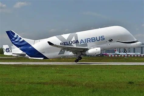 The last ever Airbus Beluga XL is preparing for takeoff