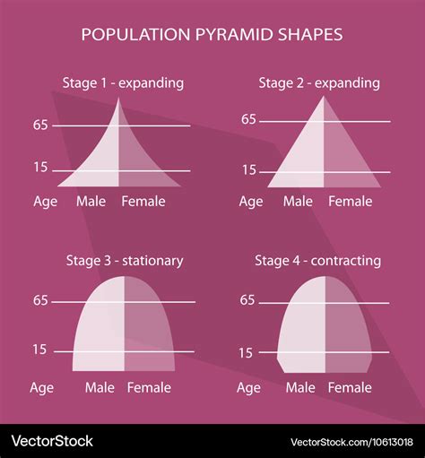 Four different types of population pyramids charts