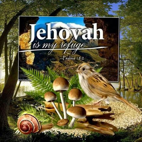 Jehova es mi refugio Spiritual Words, Spiritual Messages, Spiritual ...