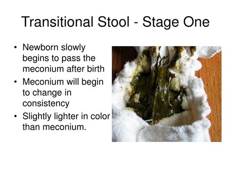 PPT - Meconium: A Sticky Situation PowerPoint Presentation, free ...