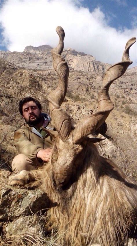 BUKHARAN MARKHOR CONSERVATION PERMIT IN TAJIKISTAN COMMITTEE OF THE ENVIRONMENTAL PROTECTION UNDER T