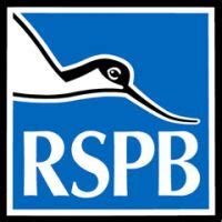 RSPB Burton Mere Wetlands Dee Estuary Cheshire events.