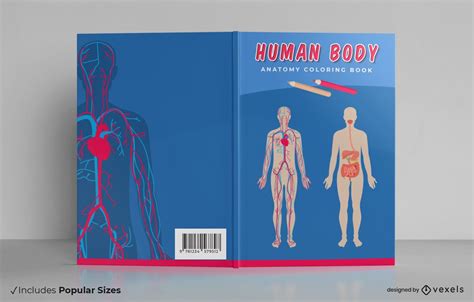 Human Body Book Cover Design Vector Download