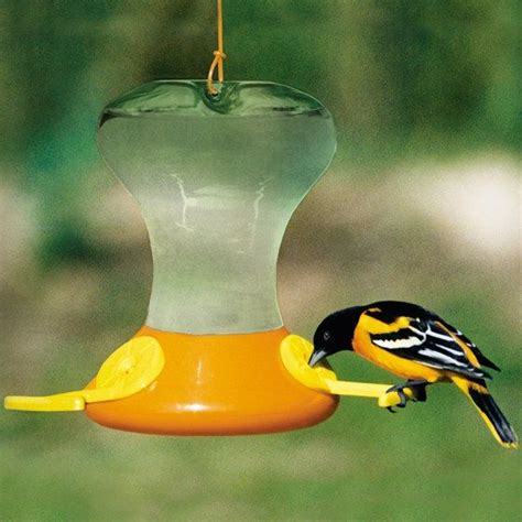 Tips for Successful Birding | Backyard birds feeders, Nectar recipe, Oriole bird feeders