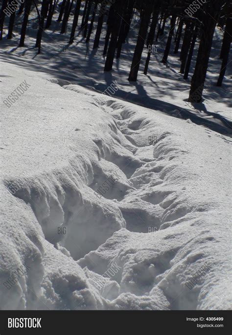 Trails Snow Image & Photo (Free Trial) | Bigstock