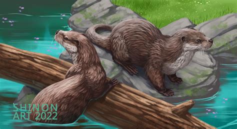 Eurasian Otter by ShadeofShinon on DeviantArt