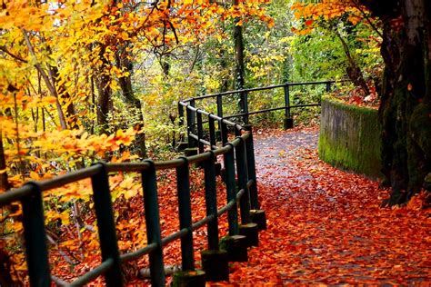 Nature Fall Autumn - Free photo on Pixabay - Pixabay