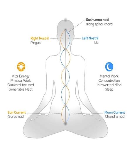 “Nadis, Chakras, Energy” & The DIMENSIONS of MIND – REAL YOGA