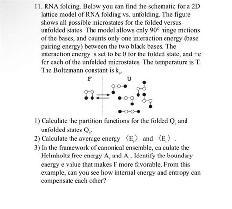 Solved 11. RNA folding. Below you can find the schematic for | Chegg.com