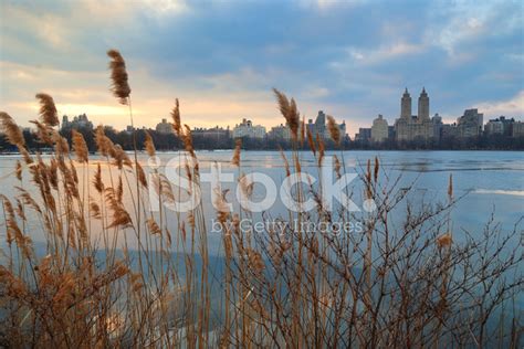 Central Park Sunset, New York City Stock Photo | Royalty-Free | FreeImages