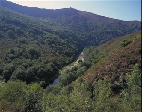 Navia river, Sierra Ancares, Lugo, Spain Photo