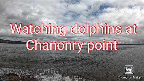 Chanonry point dolphins and camping at Rosemarkie - YouTube